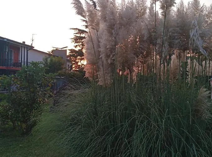 Gioiasulgarda アパート *