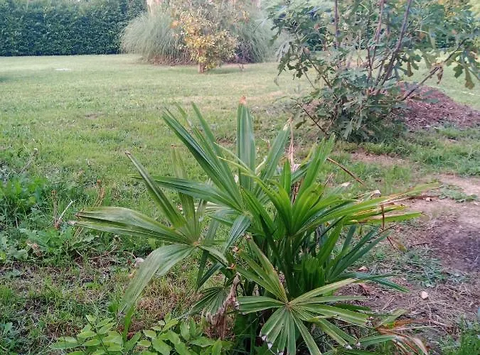 Apartman Gioiasulgarda