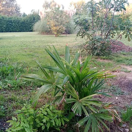 Appartamento Gioiasulgarda